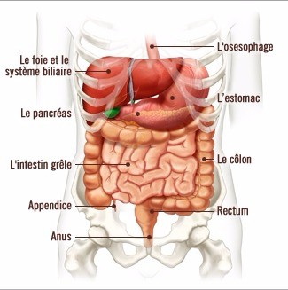 Ostéopathie et constipation |